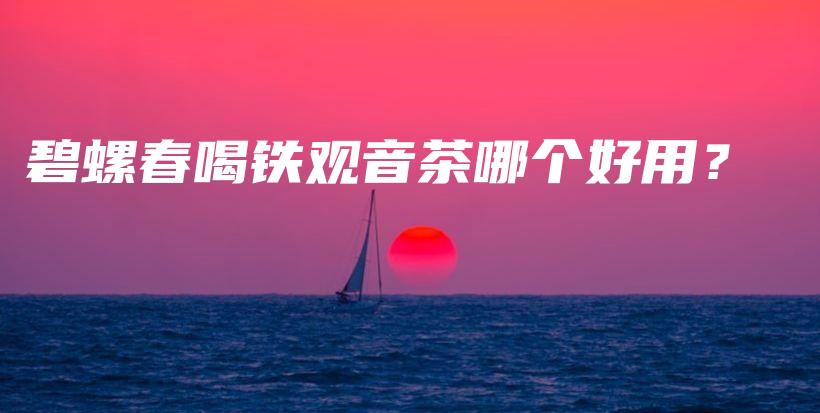 碧螺春喝铁观音茶哪个好用？插图