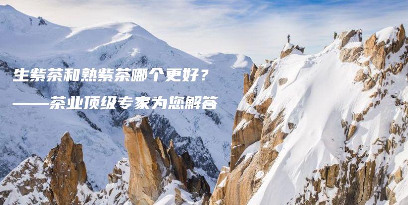 生紫茶和熟紫茶哪个更好？——茶业顶级专家为您解答插图