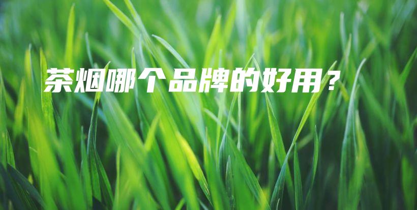茶烟哪个品牌的好用？插图