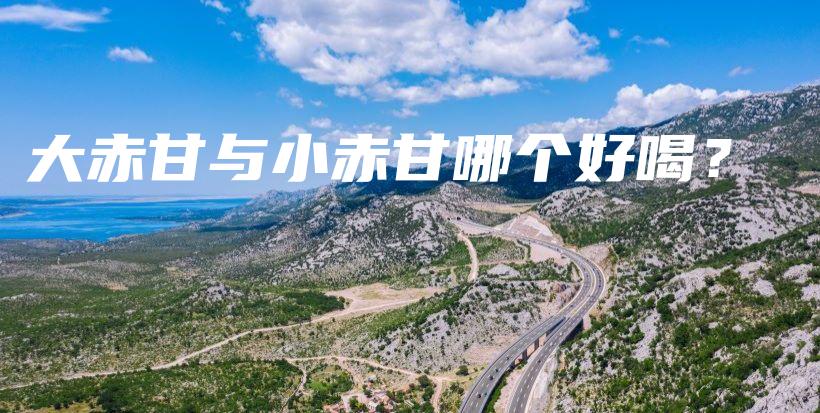 大赤甘与小赤甘哪个好喝？插图