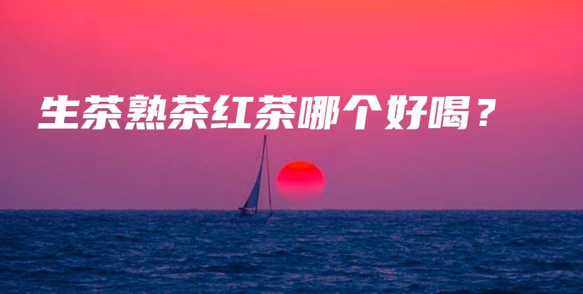 生茶熟茶红茶哪个好喝？插图
