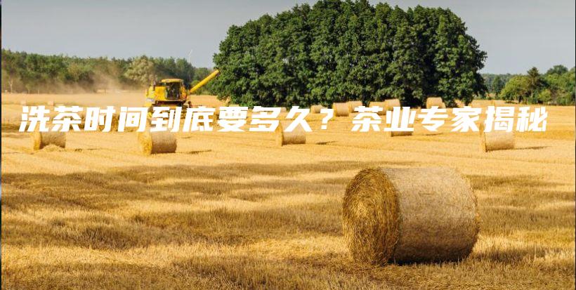 洗茶时间到底要多久？茶业专家揭秘插图