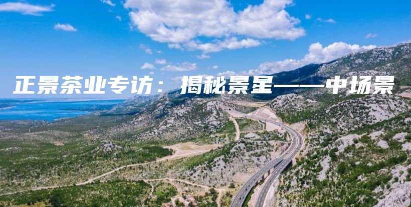 正景茶业专访：揭秘景星——中场景插图