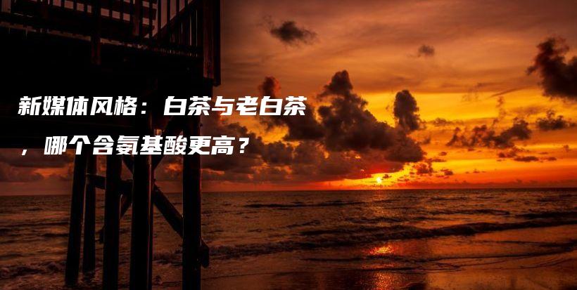 新媒体风格:白茶与老白茶,哪个含氨基酸更高?插图 新媒体风格:白茶与老白茶,哪个含氨基酸更高?插图
