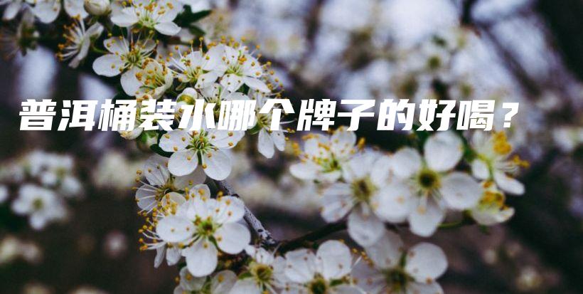 普洱桶装水哪个牌子的好喝？插图