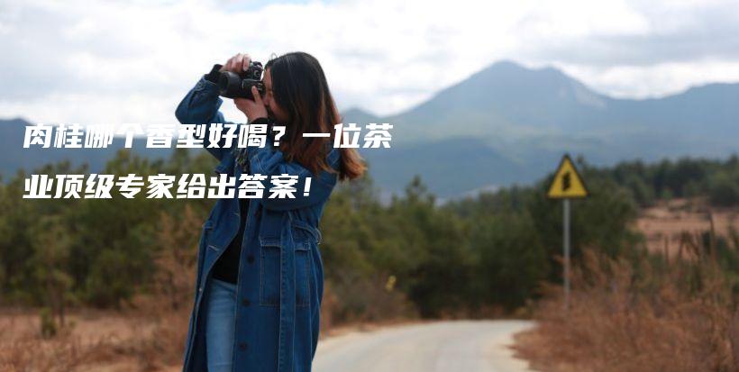 肉桂哪个香型好喝？一位茶业顶级专家给出答案！插图