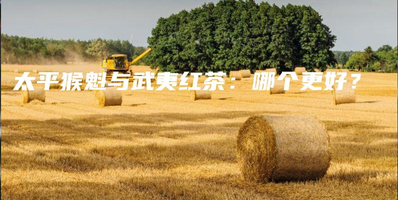 太平猴魁与武夷红茶：哪个更好？插图