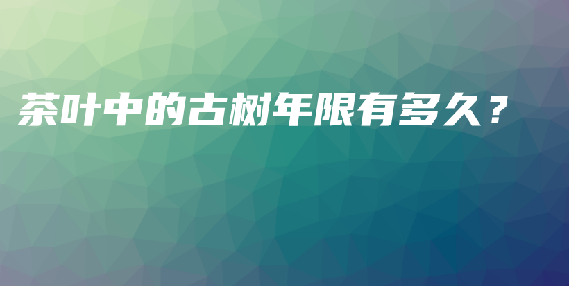 茶叶中的古树年限有多久？插图
