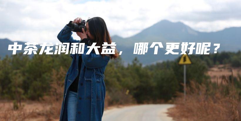 中茶龙润和大益，哪个更好呢？插图