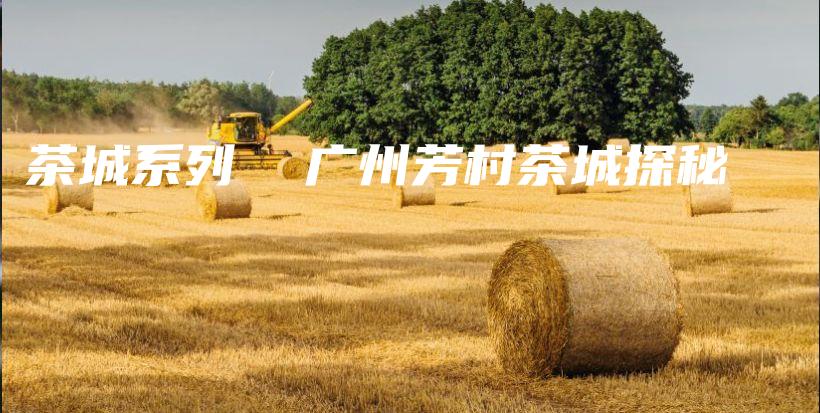 茶城系列  广州芳村茶城探秘插图