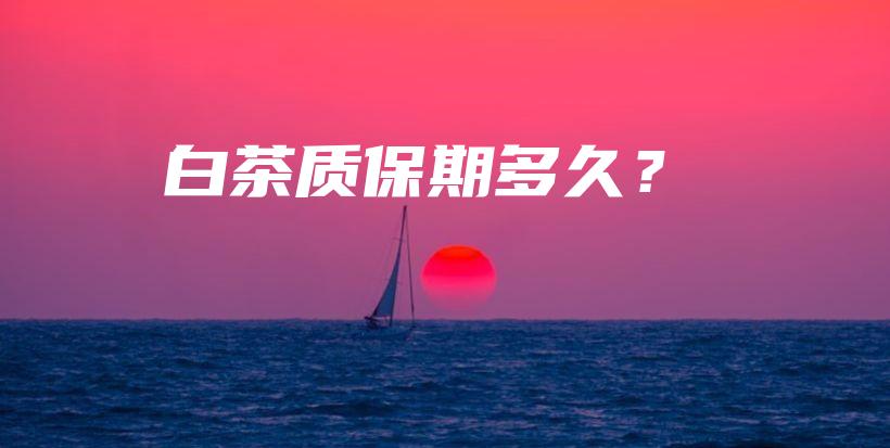 白茶质保期多久？插图