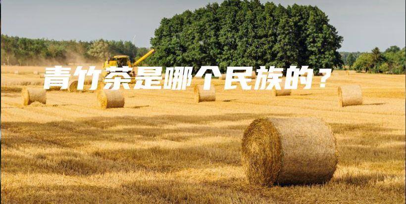 青竹茶是哪个民族的？插图