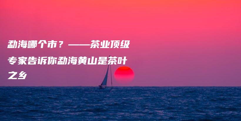 勐海哪个市？——茶业顶级专家告诉你勐海黄山是茶叶之乡插图
