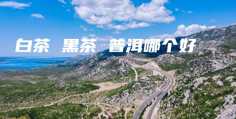 白茶 黑茶 普洱哪个好插图