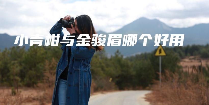 小青柑与金骏眉哪个好用插图