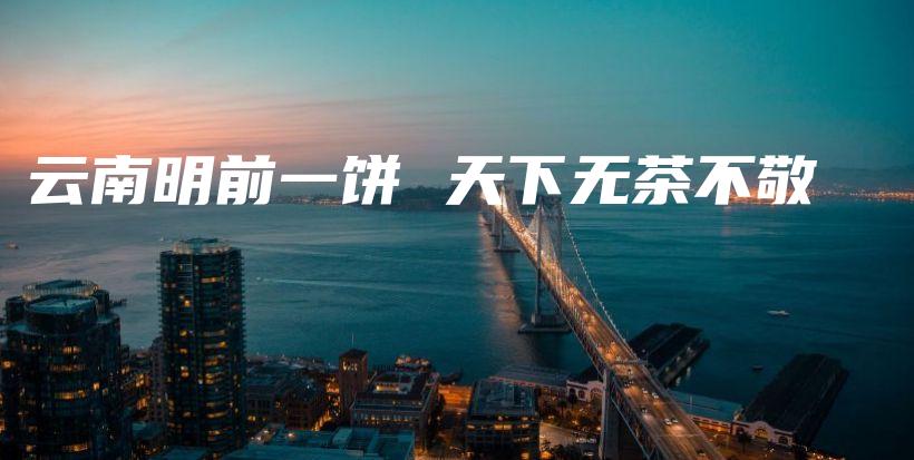 云南明前一饼 天下无茶不敬插图