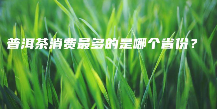 普洱茶消费最多的是哪个省份?插图 普洱茶消费最多的是哪个省份?插图