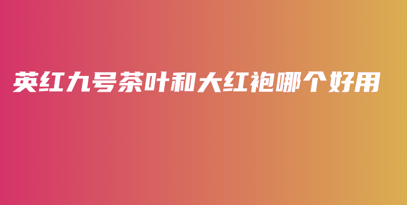 英红九号茶叶和大红袍哪个好用插图