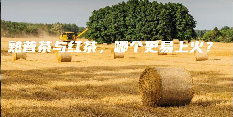 熟普茶与红茶，哪个更易上火？插图