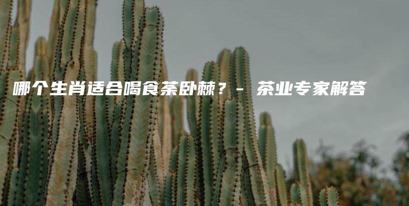 哪个生肖适合喝食荼卧棘？- 茶业专家解答插图