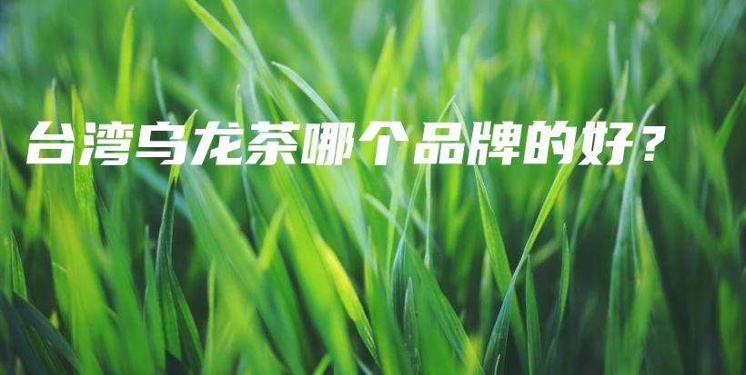 台湾乌龙茶哪个品牌的好？插图