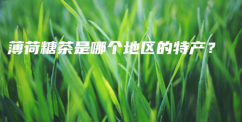 薄荷糖茶是哪个地区的特产?插图 薄荷糖茶是哪个地区的特产?插图
