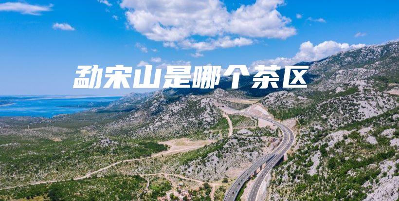 勐宋山是哪个茶区插图