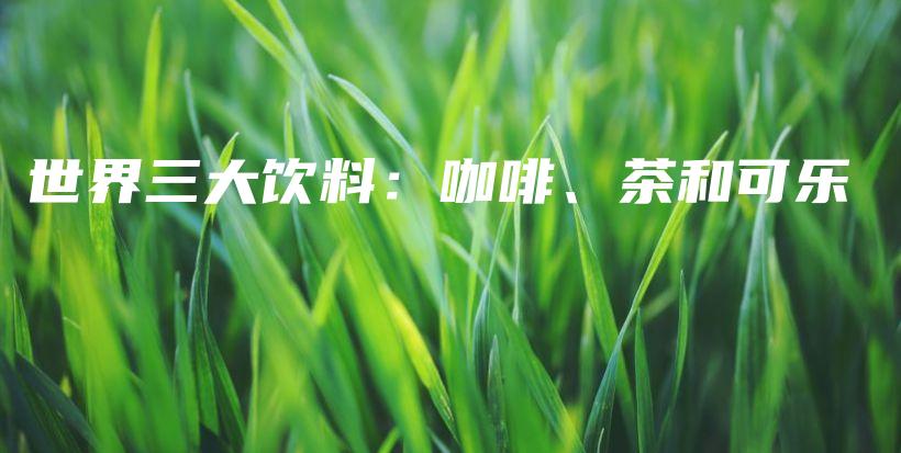 世界三大饮料：咖啡、茶和可乐插图