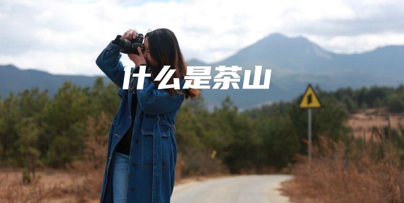 什么是茶山插图