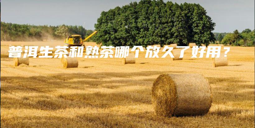 普洱生茶和熟茶哪个放久了好用？插图