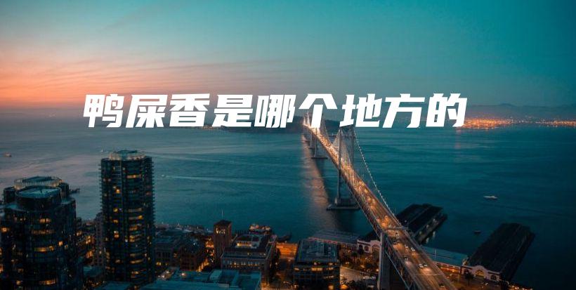 鸭屎香是哪个地方的插图