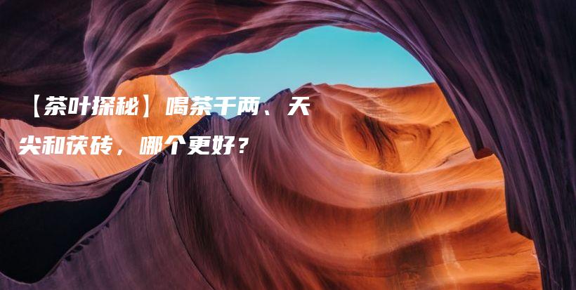 【茶叶探秘】喝茶千两、天尖和茯砖，哪个更好？插图
