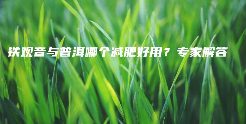 铁观音与普洱哪个减肥好用？专家解答插图