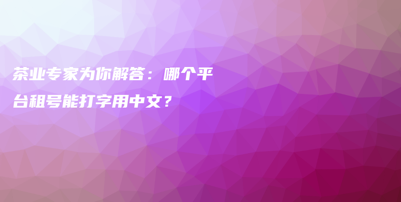 茶业专家为你解答：哪个平台租号能打字用中文？插图