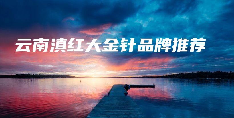 云南滇红大金针品牌推荐插图