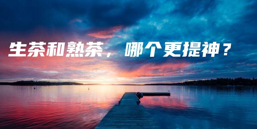 生茶和熟茶，哪个更提神？插图