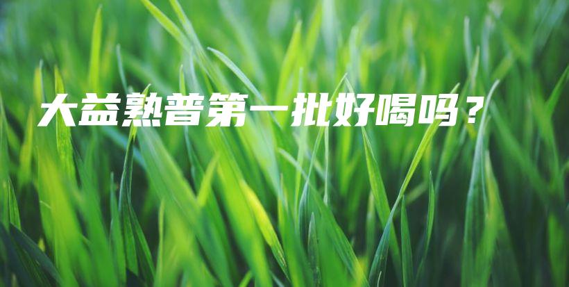 大益熟普第一批好喝吗?插图 大益熟普第一批好喝吗?插图