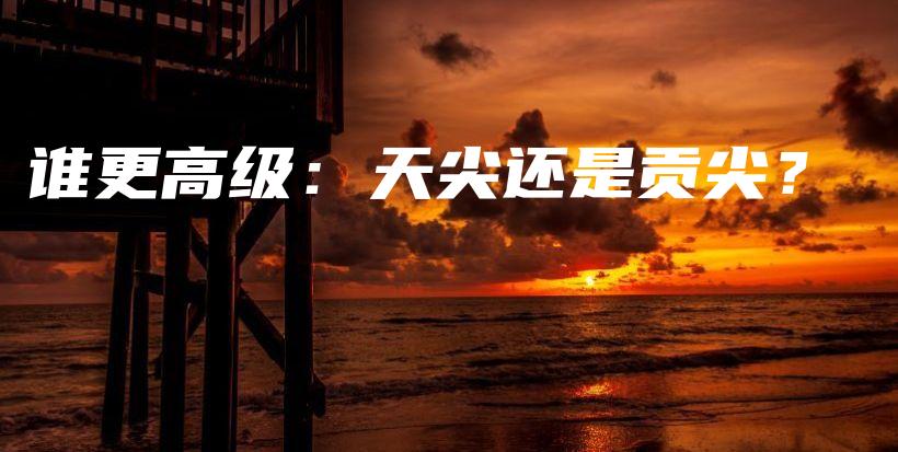 谁更高级：天尖还是贡尖？插图