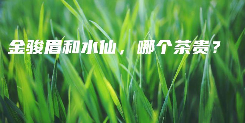 金骏眉和水仙，哪个茶贵？插图