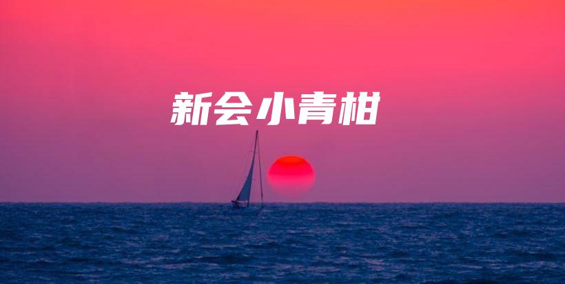 新会小青柑插图