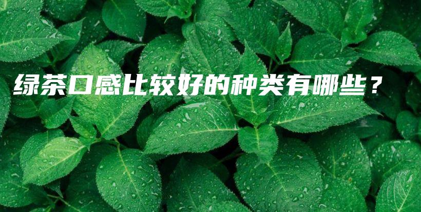 绿茶口感比较好的种类有哪些？插图