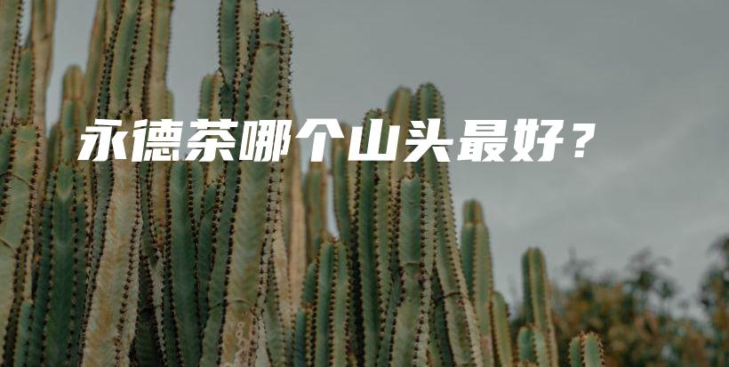 永德茶哪个山头最好?插图 永德茶哪个山头最好?插图
