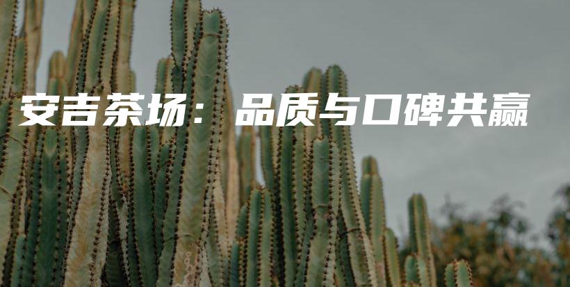 安吉茶场：品质与口碑共赢插图