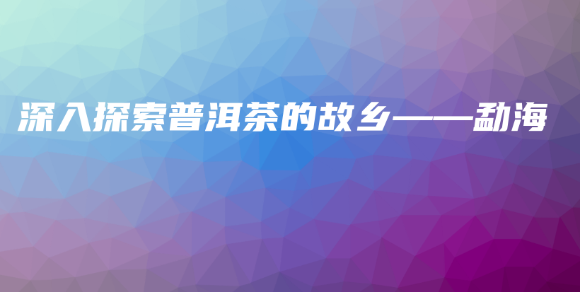 深入探索普洱茶的故乡——勐海插图