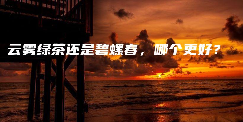 云雾绿茶还是碧螺春，哪个更好？插图
