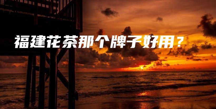 福建花茶那个牌子好用？插图