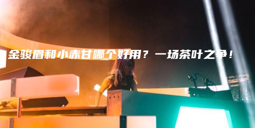 金骏眉和小赤甘哪个好用?一场茶叶之争!插图 金骏眉和小赤甘哪个好用?一场茶叶之争!插图