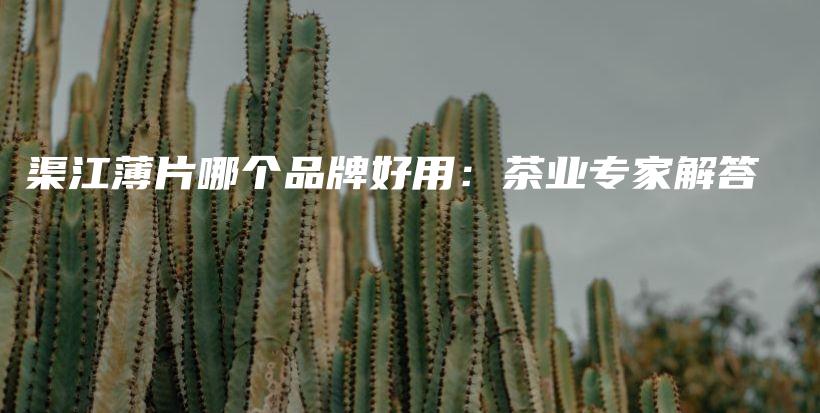 渠江薄片哪个品牌好用:茶业专家解答插图 渠江薄片哪个品牌好用:茶业专家解答插图