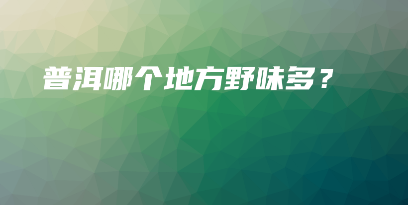 普洱哪个地方野味多？插图