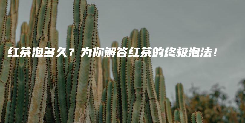 红茶泡多久？为你解答红茶的终极泡法！插图